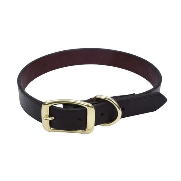 Coastal Pet Latigo Leather Town Dog Collar with Solid Brass Hardware 5/8” 16" 3811-16